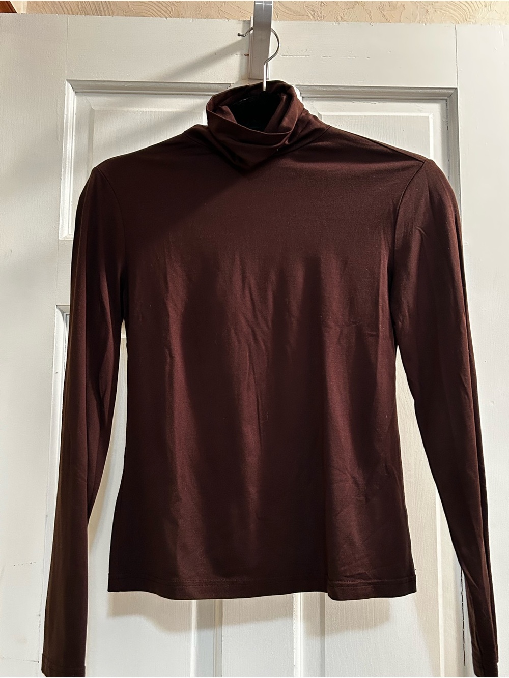 Express Women's Long Sleeve Turtleneck in Dark Brown